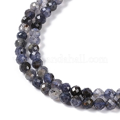 Natural Iolite Beads Strands&nbsp;X-G-G139-A11-03