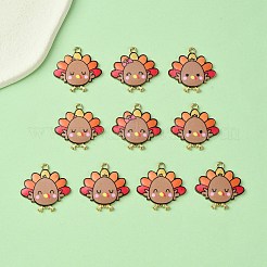 10Pcs 5 Style Cute Printed Alloy Pendants&nbsp;ENAM-YW0003-46A