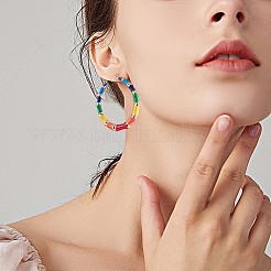 Enamel Bamboo Big Hoop Earrings&nbsp;JE976A