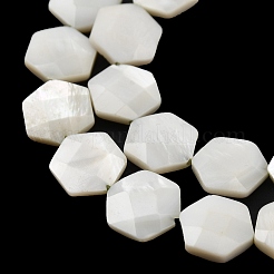 Natural White Shell Beads Strands&nbsp;SHEL-G022-01