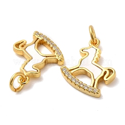 925 Sterling Silver Micro Pave Cubic Zirconia Charms&nbsp;STER-I010-07G
