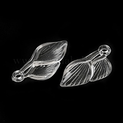 Transparent Acrylic Pendants&nbsp;TACR-G048-04C