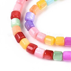 Dyed Natural Freshwater Shell Beads Strands&nbsp;SHEL-T020-56A