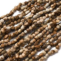 Natural Picture Jasper Beads Strands&nbsp;G-I389-A10