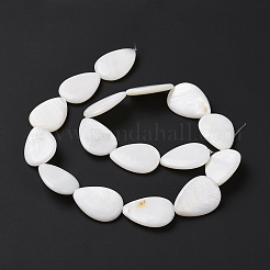 Natural Freshwater Shell Beads Strands&nbsp;X-SHEL-H001-12