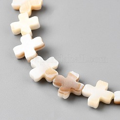 Freshwater Shell Beads Strands&nbsp;SSHEL-WH20001-06B
