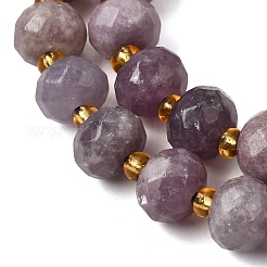 Natural Lepidolite Beads Strands&nbsp;G-D105-B08