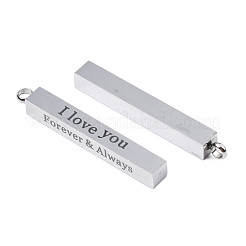 Non-Tarnish 304 Stainless Steel Pendants&nbsp;STAS-N095-090