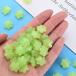 Imitation Jelly Acrylic Beads&nbsp;LS-MACR-S373-92-E06
