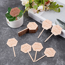 30Pcs Wooden Plant Labels&nbsp;DIY-GF0014-19B