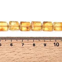 Natural Amber Beads Strands&nbsp;G-C260-A01-03