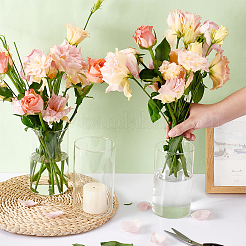 Transparent Glass Hydroponic Vase&nbsp;AJEW-WH0348-441B