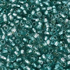 Silver Lined Glass Seed Beads&nbsp;SEED-T007-18A-07