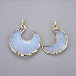 Opalite Pendants&nbsp;G-F652-01G
