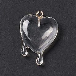 Transparent Resin Pendants&nbsp;RESI-F028-01E