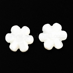 Natural Trochid Shell/Trochus Shell Beads&nbsp;SSHEL-R145-07