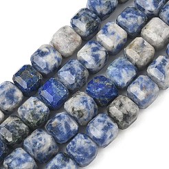 Natural Blue Spot Jasper Beads Strands&nbsp;G-C267-A20