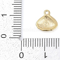 304 Stainless Steel Charms&nbsp;STAS-L022-471G