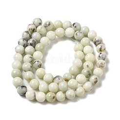 Natural Dendritic Jasper Beads Strands&nbsp;G-H298-A15-02