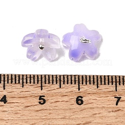 Glass Charms&nbsp;GLAA-G127-05