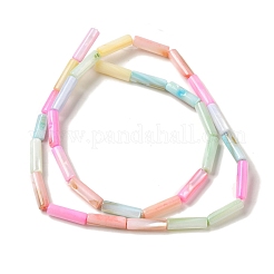 Rainbow Color Dyed Natural Freshwater Shell Beads Strands&nbsp;SHEL-G018-02B