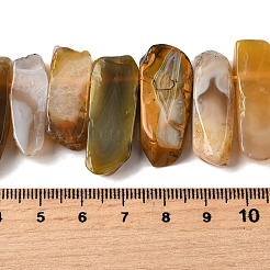 Natural Botswana Agate Beads Strands&nbsp;G-S386-D02