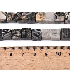 Natural Map Stone Beads Strands&nbsp;G-T139-8x8-20A