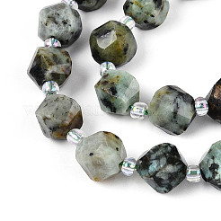 Natural African Turquoise(Jasper) Beads Strands&nbsp;G-T144-24A-07