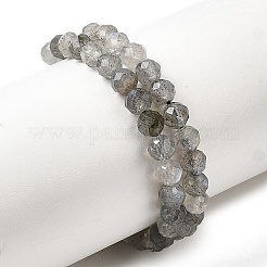 Natural Labradorite Beads Strands&nbsp;G-H336-A08-05