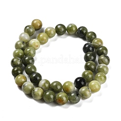 Natural TaiWan Jade Beads Strands&nbsp;G-B128-A07-04