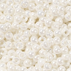 Glass Seed Beads&nbsp;SEED-H002-E-A121