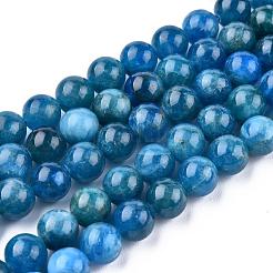 Natural Apatite Beads Strands&nbsp;G-O186-E02-8mm