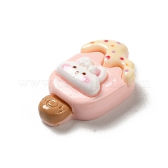 Opaque Resin Imitation Food Decoden Cabochons&nbsp;CRES-H001-02B