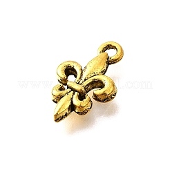 Tibetan Style Alloy Pendants&nbsp;LS-TIBE-L008-15AG
