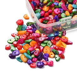Natural Dyed Shell Beads&nbsp;G-YW0001-15
