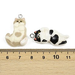 Resin Pendants&nbsp;RESI-I342-01P