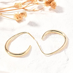 Brass Dangle Earrings&nbsp;X-KK-T056-110G-NF