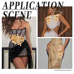 1 Pair Polyester Embroidery Sequin Costume Accessories&nbsp;DIY-CY0002-39