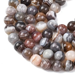 Natural Botswana Agate Beads Strands&nbsp;G-G453-A01-10mm