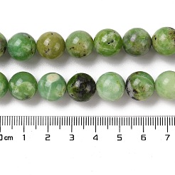 Natural Serpentine Bead Strands&nbsp;G-N166-26