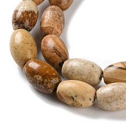 Natural Picture Jasper Beads Strands&nbsp;G-I369-B04-01