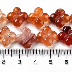 Natural Red Agate Beads Strands&nbsp;G-P520-A06-01
