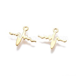 304 Stainless Steel Charms&nbsp;LS-STAS-F159-45G