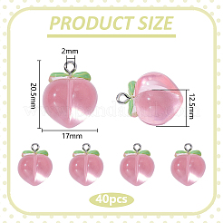 40Pcs Transparent Acrylic Pendants&nbsp;MACR-WR0001-05B