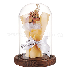 Glass Dome Cover&nbsp;DJEW-WH0015-100A