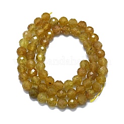 Natural Yellow Apatite Beads Strands&nbsp;G-G927-09