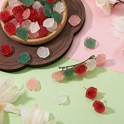 60Pcs 4 Colors Frosted Trabsparent Resin Cabochons&nbsp;RESI-TA0005-09