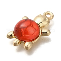 Acrylic Alloy Pendants&nbsp;FIND-M041-03D