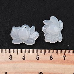 Acrylic Beads&nbsp;OACR-U001-05A