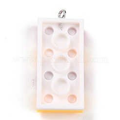 Resin Pendants&nbsp;RESI-E017-C17
